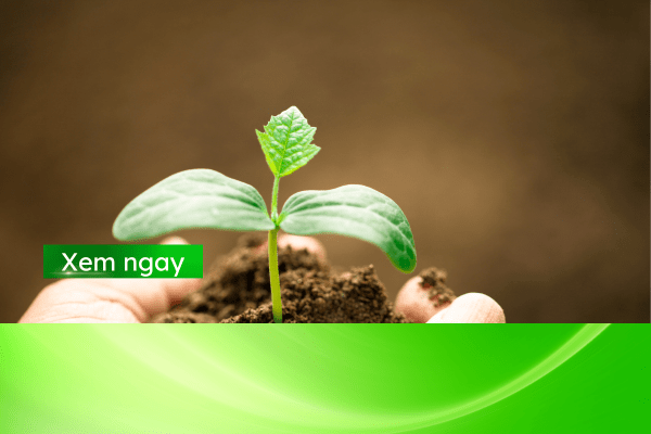 Tìm hiểu về ngành Kinh doanh xuất nhập khẩu lâm sản