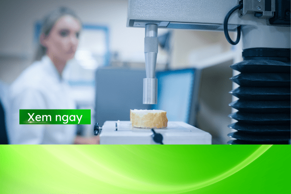 Thực trạng ngành Công nghệ thực phẩm Việt Nam năm 2026: Cơ hội và thách thức