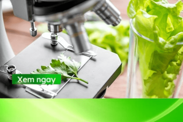 Ứng dụng công nghệ thông tin trong nông nghiệp: bước đột phá mới cho nền nông nghiệp hiện đại