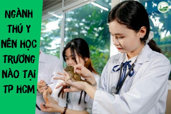 Ngành thú y nên học trường nào ở TP.HCM năm 2026