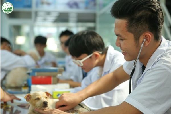 Lien thong dai hoc thu y
