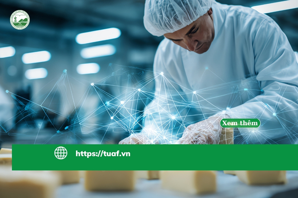 Tổng quan ngành Công nghệ Thực phẩm và xu hướng phát triển hiện nay.