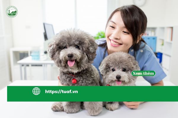 tong-quan-thi-truong-pet-care